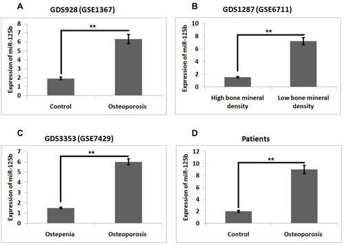 Figure 1 miR‐125b is overexpressed in postmenopausal osteoporosis. Levels of miR-125b in (A) GDS928 (GSE1367) dataset, (B) GDS1287 (GSE6711), (C) DS3353 (GSE7429) and (D) in clinical samples. The results are mean ± SD, **P<0.01 compared to control.
