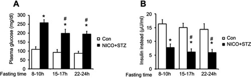 Figure 1 Effect of fasting time on glucose levels and insulin levels during the induction of diabetes in rats. After starvation for different time durations, the rats received an intraperitoneal injection of nicotinamide (230 mg/kg) 15 mins before the intravenous administration of STZ (65 mg/kg) (black column, Nicotinamide + STZ [NICO+STZ]). (A) Plasma glucose levels. (B) Plasma insulin levels. Values are expressed as means ± SDs (n=6). *P<0.05 compared with the control group (white column). #P<0.05 compared with the vehicle-treated diabetic group.