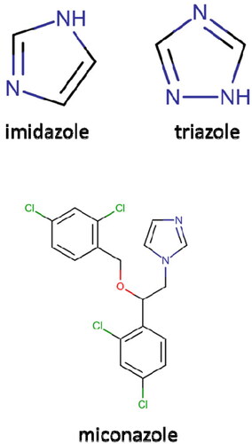 Figure 2. Structure of imidazole, triazole and miconazole.