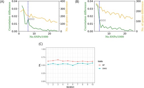 Figure 3. (A, B) The correlation difference (green) and number of gene differences (orange) against the number of single nucleotide polymorphisms (SNPs)/1,000 for backfat (BF) and daily weight gain (DWG), respectively. The cutoff was chosen as 6,000 (BF) and 4,000 (DWG) SNPs because these regions represented a larger correlation difference than the average (0.01), steep change and after that, a considerably negligible change. Number of newly added genes at each step (step: 1,000 SNPs) showed no greatly observable change. (C) The K-fold cross validation (CV, K = 10) of prediction ability (PA) for 6,000 and 4,000 SNPs in BF and DWG traits, respectively.