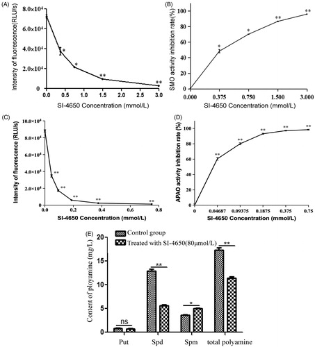 Figure 2. The effects of SI-4650 on SMO and APAO activity and cellular polyamine content. The chemiluminesence method indicating the inhibition effects of SI-4650 on SMO (A) and APAO (C). Purified protein was incubated in the presence of SI-4650 with different concentration (from 0 to 3 mM) and 3 mM substrate. The inhibition rate of SMO (B) and APAO (D) by SI-4650. The data are shown as means ± SD. Compared with control *p < 0.05, **p < 0.01. (E) The effect of SI-4650 on cellular polyamine content determined by HPLC. A549 cells were treated with DMSO or 80 μmol/L SI-4650 for 48 h before being collected for the indicated polyamine analyses. The values are presented as the means ± SD from three independent experiments (Student’s t-test). *p < 0.05, **p < 0.01, ns, not significant.