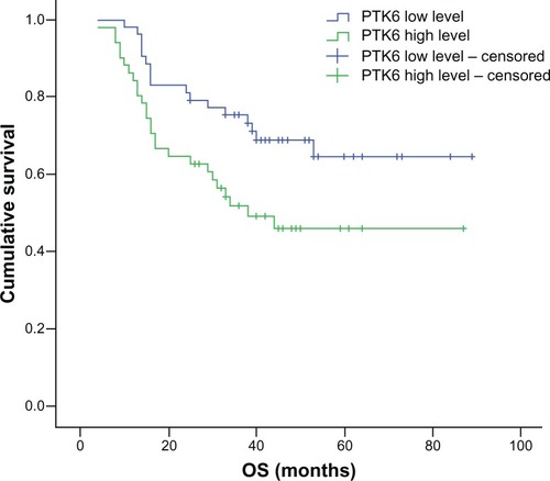 Figure 3 Kaplan–Meier survival curves based on expression of PTK6.