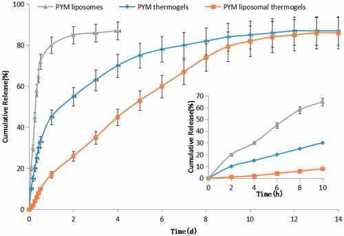 Figure 4. PYM in vitro release profile from PYM liposomes, PYM thermogels and PYM liposomal thermogels (n = 3).
