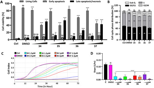 Figure 3. Influence of compounds 34–37 on cellular viability, migration, and cell cycle progression. (A) Flow cytometry analysis of apoptosis induction by the analysed compounds in HepG2 cells after 24-h treatment with compounds 34–37 in a concentration corresponding to the half (34–2.5 µM, 35–2.3 µM, 36–2 µM, 37–2.3 µM) and the total (34–5 µM, 35–4.5 µM, 36–4 µM, 37–4.5 µM) IC50 value using YO-PRO 1/PI dual staining. The number of live and apoptotic and necrotic cells was evaluated for each compound after 24 h and presented as a bar graph. The data are presented as a mean percentage ± SD from three independent experiments. (B) Cell cycle phase distribution in HepG2 cells treated for 24 h with the compounds in a final concentration: 34–5 µM, 35–4.5 µM, 36–4 µM, 37–4.5 µM. Percentage cell distribution in each of the cell cycle phases was calculated and presented as a mean ± SD from three independent experiments. (C) Real-time migration potential in HepG2 cells treated with compounds 34–37. The inhibitory potential of the compounds was analysed using the xCELLigence system in a concentration corresponding to the half (34–2.5 µM, 35–2.3 µM, 36–2 µM, 37–2.3 µM) and one-fourth (34–1.3 µM, 35–1.2 µM, 36–1 µM, 37–1.2 µM of their IC50 value. The rate of cellular migration was monitored every 30 min for 72 h. (D) Impedance-based signals were recorded, and the slope parameter representing the rate of changes in CI values was calculated for HepG2 cells within the first 24 h. Statistical significance is indicated with asterisks: (ns) p > 0.05, *p < 0.05, **p < 0.01, ***p < 0.001, ****p < 0.0001.