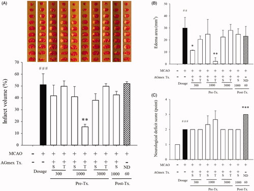 Figure 3. Infarct volumes, edoema areas, and neurologic deficit scores (NDS). (A) Representative photographs of TTC-stained brain coronal slices (1 mm) showing infarct areas 24 h after tMCAO (upper column) and total infarct volumes (lower column). (B) Quantitative analysis of the total edoema area. (C) Neurologic deficit score (NDS). S = single AGmex treatment at 300, 1000 or 3000 mg/kg bw p.o. and T = AGmex treatment for two consecutive days at 300, 1000 or 3000 mg/kg bw/d p.o.; ND, nimodipine (positive control), which was administered once or twice at 60 mg/kg at 1 h or 1 h and 24 h after MCAO, respectively. Results are presented as means ± SDs (n = 3). ##p < 0.01, ###p < 0.001 vs. the sham-operated group; *p < 0.05, **p < 0.01, ***p < 0.001 vs. the MCAO group.