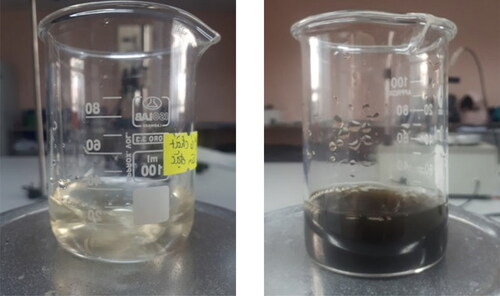 Figure 1. Pictures of the mixture of tea leaf extract and AgNO3 solution before pH adjustment (left) and after pH adjustment (right).