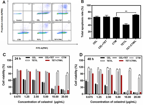 Figure 3 Cell apoptosis and cytotoxicity (A) Apoptosis ratio of HepG2 cells treated with various celastrol treatments at concentration of 2 μg/mL for 12 h. (B) The quantitative analysis of total apoptosis rate of HepG2 cells treated with various celastrol treatments. Data are represented as mean ± SD; n = 3. **P < 0.01. Cytotoxicity of various celastrol treatments against HepG2 cells for (C) 24 h and (D) 48 h. Data are represented as mean ± SD; n = 6. **P < 0.01.