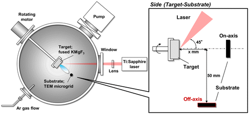 Figure 1. Experimental setup for the fabrication of KMgF3 nanoparticles.