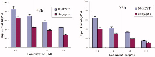 Figure 4. Results of MTT assay on Hep-3B cells after incubation of 48 and 72 h with 10-HCPT and 10-HCPT–HES conjugate at various 10-HCPT concentrations.