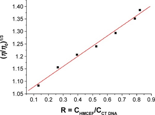 Figure 7 Effect of increasing amounts of HMCEF on the relative viscosity of CT DNA at 30°C.Notes: η is the viscosity of DNA in the presence of HMCEF; η0 is the absence of HMCEF; CHMCEF is the concentration of HMCEF; and CCT DNA is the concentration of CT DNA.