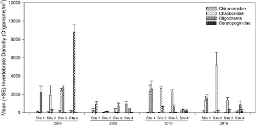 Figure 3. Mean (± SE) invertebrate density of each major taxonomic group identified at each site in Spring Lake in 2004, 2006, 2010, and 2016.