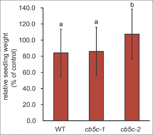 Figure 3. Biomass response to MeJA. Biomass responses of 10-day-old seedlings of the 3 genotypes (WT, cb5c-1 and cb5c-2). The weight of seedlings treated with methyl-jasmonate (MeJA) was normalized to the weight of untreated seedlings (ctrl). Different letters refer to statistical groupings (pairwise t-test as post-hoc, p < 0.05, n = 30). See Table S1 for the ANOVA table.