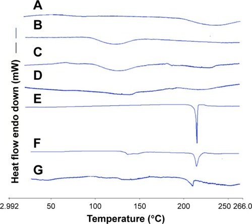 Figure 9 DSC thermograms of raw MCC (A), SCS (B), the physical mixture of MCC and SCS (C), NCCS (D), coarse BCA (E), the physical mixture of NCCS and BCA (F), and BCA-NP/NCCS (G).Abbreviations: DSC, differential scanning calorimetry; MCC, microcrystalline cellulose; SCS, sodium carboxymethyl starch; NCCS, nanocrystalline cellulose–sodium carboxymethyl starch; BCA, baicalin; BCA-NP, BCA nanosuspension particle.