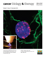 Cover image for Cancer Biology & Therapy, Volume 13, Issue 13, 2012