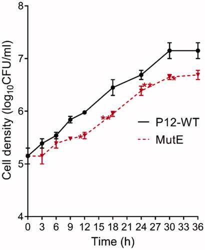 Figure 4. Growth curves for H. pylori P12 WT and MutE measured over 36 h. Error bars represent the standard error of the mean for three independent biological replicates. Significant differences compared to wild type P12 are indicated; *p < .05, **p < .01. All other differences are not significant.