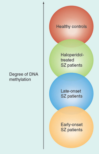 The degree of DNA methylation in different study groups.SZ: Schizophrenia.Original figure provided by Tomas Ekström.