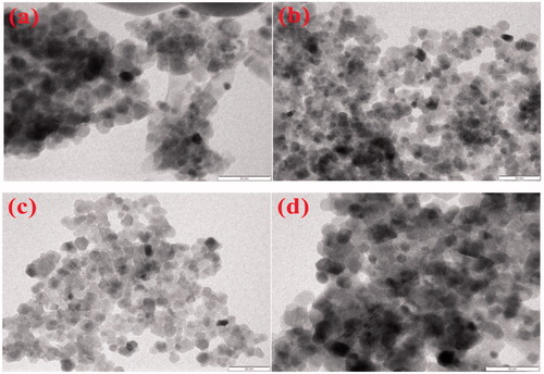 Figure 3. TEM images of (a) ZnO (LA), (b) ZnO (AI-2), (c) ZnO (MA-2) and (d) ZnO (IT-2).