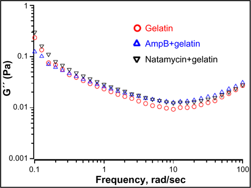 Figure S9 Frequency sweep showing the effect of polyenes on loss modulus (G″).Abbreviation: AmpB, amphotericin B.