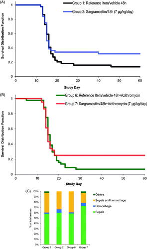 Figure 1. Survival curves and cause of death in NHPs after TBI and treatment with sargramostim and/or azithromycin. (A) Survival curve comparisons of Groups 1 (reference item/vehicle 48 h) and 2 (sargramostim 48 h). (B) Survival curve comparisons of Groups 6 (reference item/vehicle 48 h + azithromycin) and 7 (sargramostim 48 h + azithromycin). Logistic regression model for comparing the mortality frequencies at Day 60 showed an overall statistically significant dose effect (t-test, p = .0032). (C) Most likely cause of death of moribund animals in each group.