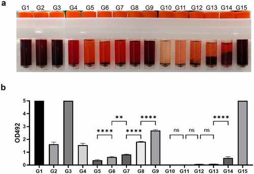 Figure 1. Solubility of ORO in different solvents. A: 15 ORO solutions show different degrees of red, representing different ORO dissolving abilities of 15 solvents. B. The absorbance at 492 nm of 15 ORO staining solutions semi-quantitatively reflects the solubility of ORO in different solvents. (n = 3. Error bars indicate mean ± SD. ns: p > 0.05, **P < 0.01; ****P < 0.0001, by ANOVA for multiple comparisons).