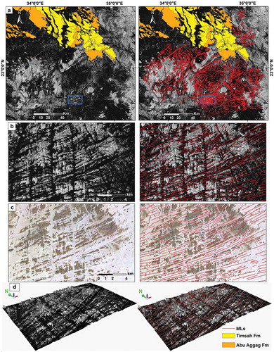 Figure 5. Mapping of the MLs in the SED using ALOS PALSAR, multispectral Landsat 8, and ALOS DEM data. (a) ALOS PALSAR backscatter mosaic for the study area (left) and interpretation map showing the distribution of MLs (right). (b) Left: enlargement of the area covered by the blue boxes in Figure 5(a) showing ENE-WSW trending linear sub-parallel megaridges (bright) and intervening megagrooves (dark). Right: interpretation map showing the distribution of MLs (red lines), which indicate paleo-ice flow directions. (c) Landsat 8 multi-spectral image (RGB, Landsat bands 753) for the area covered by blue box in Figure 5(a) showing linear megaridges (dark) and intervening megagrooves (bright) and an interpretation map showing the distribution of MLs (red lines). (d) 3D view (vertical exaggeration: 6×) for the area covered by blue box in Figure 5(a) with the ALOS PALSAR data draped over the ALOS DEM showing the distribution of megaridges and intervening ENE-WSW oriented megagrooves.