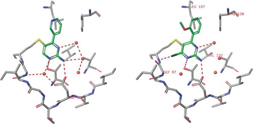 Figure 8. Binding modes of compounds 9 and 10 obtained by X-ray crystallography. Structural waters are indicated by red spots.