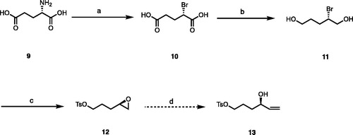 Scheme 2. The synthesis of intermediate (13). Reagents and conditions: (a) HBr, KBr, NaNO2, −15 °C to rt, 3 h. (b) BH3 Me2S, THF, MeOH, rt, 10 h, two steps: 60%. (c) NaH, THF, 0 °C, 0.5 h, then TsCl, py, 1 h, 52%. (d) Me3SI, LHMDS, THF, –10 °C.