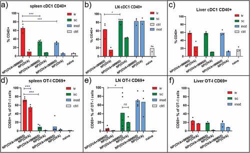 Figure 5. iNKT cell help in the lymph node. Wild-type C57BL/6 mice were transferred with OT-I T cells and one day later injected with 0,172 mg of PLGA nanoparticles (containing 6ug Ovalbumin and 30ng IMM60) via different routes. 24 hours later spleens and lymph nodes were isolated. (a–c) CD40+ percentages of XCR-1+ cDC1 s in (a) spleen, (b) lymph nodes and (c) livers. (d–f) OT-I T cells were analyzed for CD69 expression in (d) spleen, (e) lymph nodes, (f) livers. Each mouse is shown as a dot with mean values. Two-way ANOVA or Kruskal Wallis tests were used for statistical analysis