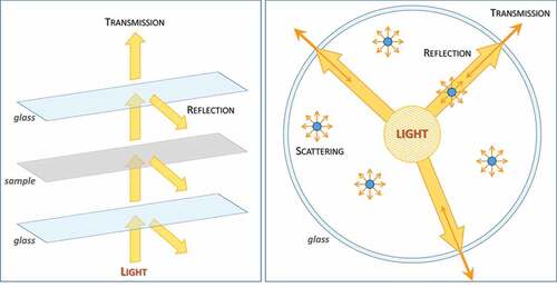 Figure 7. Schematic illustration of main optical events taking place in supported (right) and suspended (left) photo-catalytic processes.