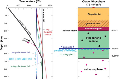 Figure 10. Summary of the geotherm and possible lithosphere configuration underlying the Dunedin Volcanic Group. The peridotite + carbonate solidus is from Green and Wallace (Citation1988), the spinel-garnet transition in lherzolite is from Klemme and O'Neill (Citation2000) (and would be displaced down in pressure if the mantle composition was more depleted than lherzolite), the lherzolite dry solidus is from Katz et al. (Citation2003), the geotherm is from Hasterok and Chapman (Citation2011), phlogopite is from Luth (Citation2014) and the pargasite stability is from Green (Citation2015).