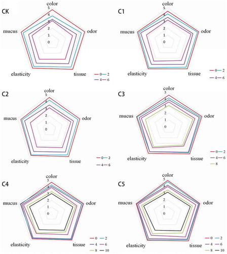 Figure 4. Radar map in sensory scores of samples of control and treated with edible coating during refrigeration (CK: The control samples [coating with deionized water]; C1: 1% chitosan coating; C2: 20 mg/kg rosmarinic acid coating; C3: 1% chitosan coating incorporated with 20 mg/kg rosmarinic acid; C4: 1% chitosan coating incorporated with 30 mg/kg rosmarinic acid; C5: 1% chitosan coating incorporated with 40 mg/kg rosmarinic acid).Figura 4. Imagen de radar de las puntuaciones sensoriales de las muestras de control y las tratadas con capas comestibles durante su refrigeración. CK: Muestras de control (capa de agua desionizada); C1: capa de 1% de quitosano; C2: capa de 20 mg/kg de ácido rosmarínico; C3: capa de 1% de quitosano con 20 mg/kg de ácido rosmarínico; C4: capa de 1% de quitosano con 30 mg/kg de ácido rosmarínico; C5: capa de 1% de quitosano con 40 mg/kg de ácido rosmarínico.