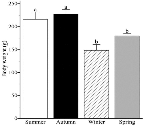 Figure 1. Seasonal variations in body weight of ground squirrel. Groups with different letters in each cluster are significantly different (p < 0.05).