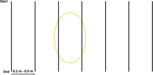 Figure 4. Basic multi-line GPR set up with vertically oriented grave. The yellow oval depicts the grave, with the black lines depicting the GPR lines. This way, there are fewer GPR lines that can detect the grave-related anomalies, potentially affecting the ability to locate the grave and provide more precise grave dimensions. In this scenario, only two GPR lines are covering the grave, meaning only two GPR lines may show a grave-related anomaly. This can be problematic because finding the precise location of grave may be more difficult.