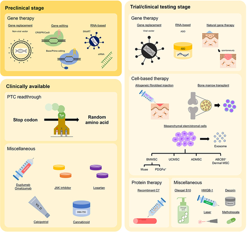 Figure 3 Schematic illustration of the clinical status (entering preclinical or clinical stage) of various DEB treatments.