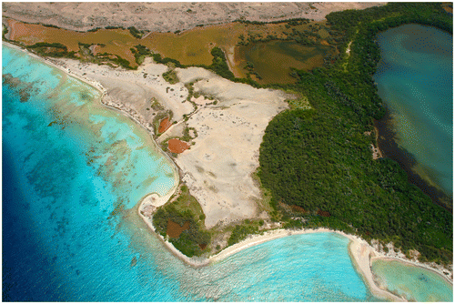 FIG. 3 Aerial view of the Punta Salinas site (photograph, José Miguel Pérez Gómez).