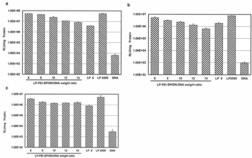 Figure 5. Transfection efficiency of LP-PEI-SPION/pGL3 complexes at various weight ratios in three different cell lines, and LP 6, Lipofectamine® 2000 (LP 2000) and naked DNA (DNA) were controls. (a) SPC-A1, (b) HepG2, (c) A549 (mean ± SD, n = 3). Compared with LP 2000, *P < 0.05.