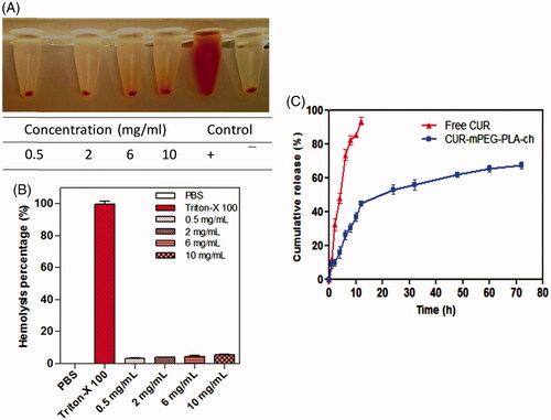 Figure 4. Assessment of hemocompatibility of the polymer (A and B) and the release of loaded CUR (C). A and B. Percentage of hemolysis of mPEG–PLA-Ch at 0.5, 2, 4, 6 and 10 mg/mL concentration at pH 7.4; C. In vitro CUR-release profile from free CUR and CUR-mPEG–PLA-Ch micelles in media (PBS, pH 7.4) (data are presented as mean ± SD (n = 3)).
