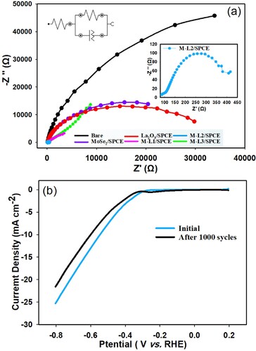 Figure 7. (a) Electrochemical impedance spectra of the bare carbon, MoSe2, La2O3, M-L1, M-L2 and M-L3. (b) Stability results for the M-L2 sample before and after 1000 CV cycles in 0.5 M H2SO4 under N2 atmosphere.