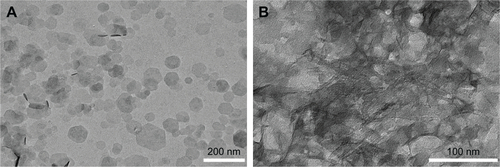 Figure S2 TEM micrographs of Mg-Al-NO3-LDH (A) and CG-GS-PRN-LDH (B).Abbreviations: CG-GS, chitosan-glutathione-glycylsarcosine; LDH, layered double hydroxides; PRN, pirenoxine sodium; TEM, transmission electron micrography.
