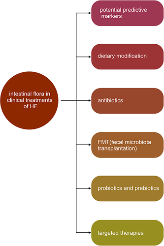 Figure 6 The clinical value of intestinal flora in heart failure.