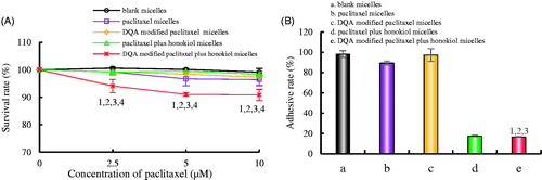 Figure 7. Adhesion rate of LLT cells on Matrigel after incubation with the varying formulations. (A) Cellular survival rate of LLT cells after incubation with drug for 12h, (B) Adhesion rate of LLT cells on Matrigel. a. blank micelles; b. paclitaxel micelles; c. DQA modified paclitaxel micelles; d. paclitaxel plus honokiol micelles; e. DQA modified paclitaxel plus honokiol micelles. p < .05, 1, vs. a; 2, vs. b; 3, vs. C; 4, vs. d.