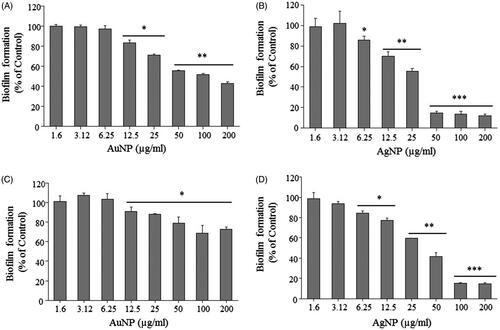 Figure 8. Effect of AuNPs and AgNPs on bacterial biofilm formation. P. aeruginosa (A, B) and E. coli (C, D). All the experiments were performed in biological triplicates, data represent mean ± SD. *p < .05, **p < .005 and ***p < .001.