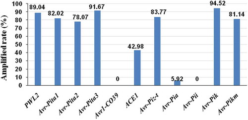 Fig. 2. (Colour online) The avirulence genes and amplification rate in 456 Magnaporthe oryzae isolates from Fujian Province, China. Avr-Pik and Avr-Pita3 had the highest frequencies (94.5% and 91.7%, respectively), while Avr1-CO39 and Avr-Pii had the lowest (0%). Frequencies of other Avr genes varied from 5.9 to 89%.