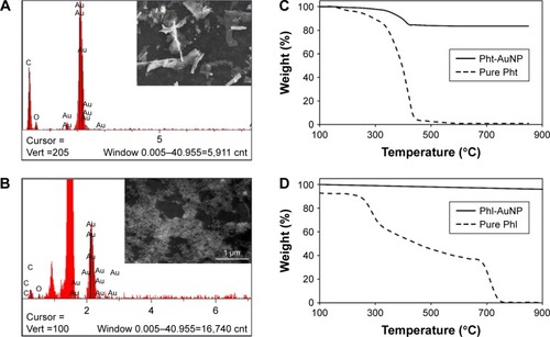 Figure 3 Characterization of Pht-AuNPs and Phl-AuNPs.Notes: (A) EDS spectra of Pht-AuNPs showing the presence of an elemental peak for carbon (C) and gold (Au) at 0.2 keV and 2.1 keV respectively. Figure in the inset shows SEM image of spin coated sample of Pht-AuNPs on silicon chip obtained at an accelerating voltage of 20 keV with a magnification of 5 kX. (B) EDS spectra of Pht-AuNPs showing the presence of an elemental peak for C and Au at 0.2 keV and 2.1 keV respectively. Figure in the inset shows SEM image of spin coated sample of Pht-AuNPs on silicon chip obtained at an accelerating voltage of 20 keV with a magnification of 5 kX. (C) A comparison of TGA showing loss of organic material for Pht-AuNP (—) and phloretin (- - -) respectively. The samples were heated from room temperature to 650°C at a rate of 10°C min−1 under nitrogen flow followed by heating to 850°C under air. (D) A comparison of TGA showing loss of organic material for Phl-AuNP (—) and phloridzin (- - -) respectively. The samples were heated from room temperature to 650°C at a rate of 10°C min−1 under nitrogen flow followed by heating to 850°C under air.Abbreviations: EDS, energy dispersive spectroscopy; TGA, thermo-gravimetric analysis; Pht-AuNPs, phloretin-conjugated gold nanoparticles; Phl-AuNPs, phloridzin-conjugated gold nanoparticles; SEM, scanning electron microscopy; Pht, phloretin.