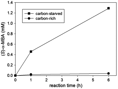 Fig. 2. Effect of metabolic supply of pyruvate to amination of ketone.Notes: Reaction conditions were acetophenone (20 mM), L-alanine (200 mM), and whole cells expressing OATA (18 mg dry cell weight/mL). To provide the carbon-rich conditions, the reaction mixture was supplemented with glucose (100 mM).