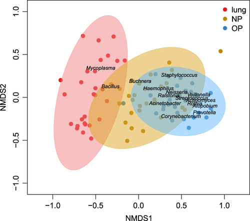 Fig. 4 Two-dimensional non-metric multidimensional scaling (nMDS) plot of the microbial community composition in the nasopharyngeal (NP), oropharyngeal (OP) and bronchoalveolar lavage (BAL) samples.Dots colored yellow, blue and red represent samples originating from the NP, OP and lung respectively. Ellipses around the geometric mean are the standard deviations of niche samples