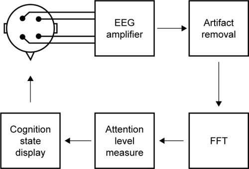 Figure 2 NFT system process flow.