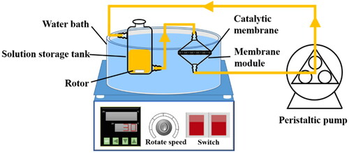 Scheme 3. Schematic illustration of the flow through catalytic membrane reactor system.