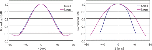Figure 9. Normalized SAR distributions inside small and large phantoms.