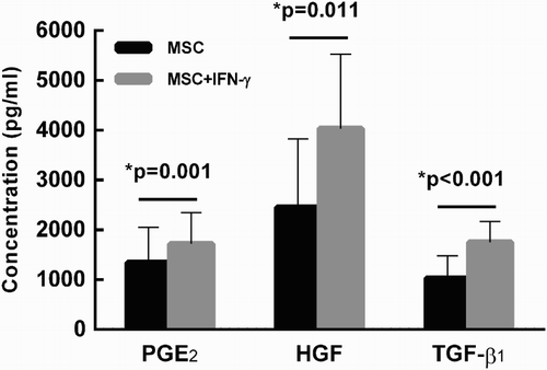 Figure 3. IFN-γ stimulation results in a signiﬁcant increase in production of PGE2, HGF and TGF-β1 by MSCs. MSCs were cultured in the presence or absence of exogenous IFN-γ (100 ng/ml) for 144 hours. The supernatant was collected and then assayed by EIA. Production of PGE2, HGF and TGF-β1 were signiﬁcantly enhanced in the presence of IFN-γ. Results were representative of seven independent experiments, expressed as mean ± S.E, each performed in triplicate.